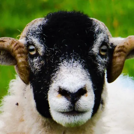 18th Century Courtyard Property Сеттл